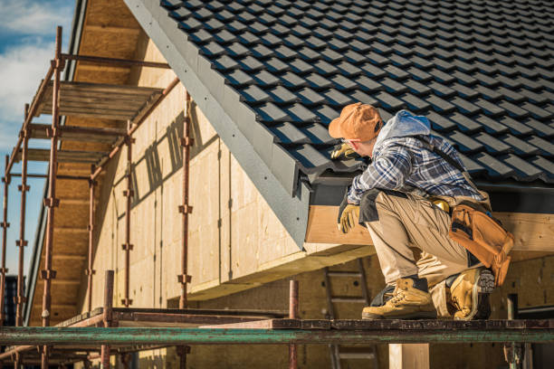 Best Solar Panel Roofing Installation  in Andale, KS